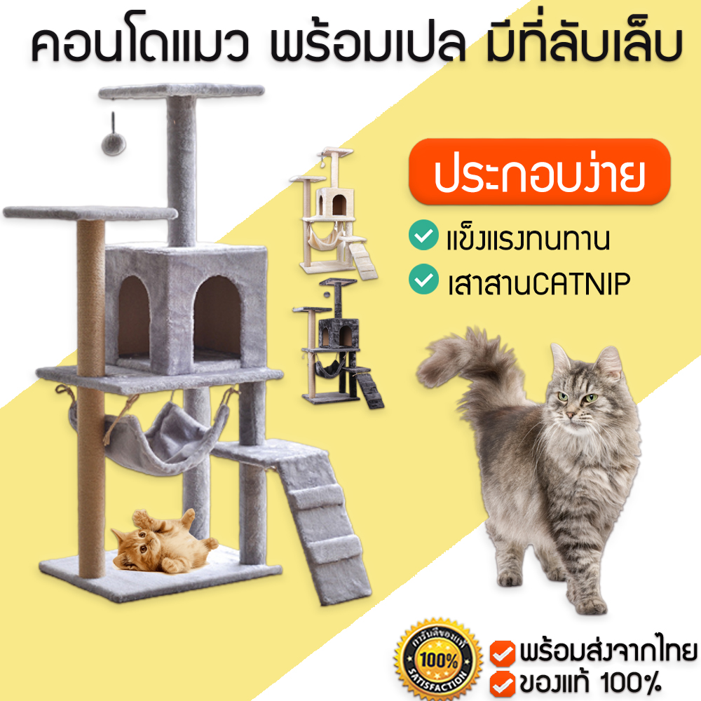 [พร้อมส่ง] คอนโดแมว พร้อมเปล ของเล่น และที่ลับเล็บแมวในตัว คอนโดแมวกำมะหยี่ ที่ข่วนเล็บแมว M102. 