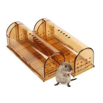 reusable mouse traps that work