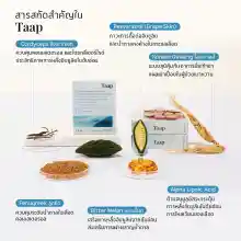 ภาพขนาดย่อของภาพหน้าปกสินค้าTAAP อาหารเสริมแท็พ (1 กล่องมี 30 แคปซูล) จากร้าน Taap Wellness บน Lazada ภาพที่ 2