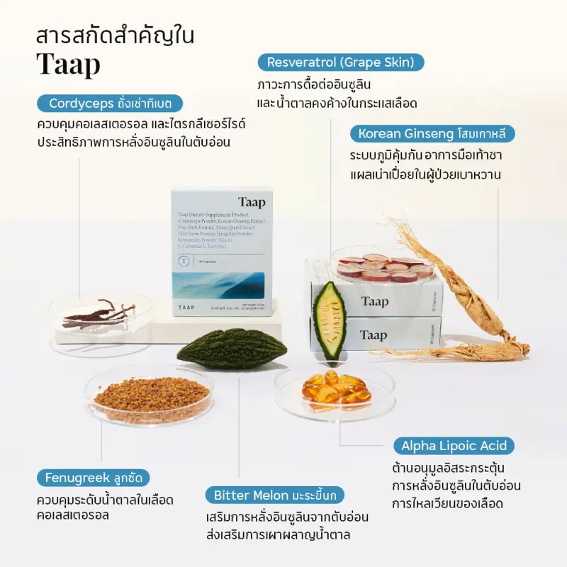 ภาพสินค้าTAAP อาหารเสริมแท็พ (1 กล่องมี 30 แคปซูล) จากร้าน Taap Wellness บน Lazada ภาพที่ 2