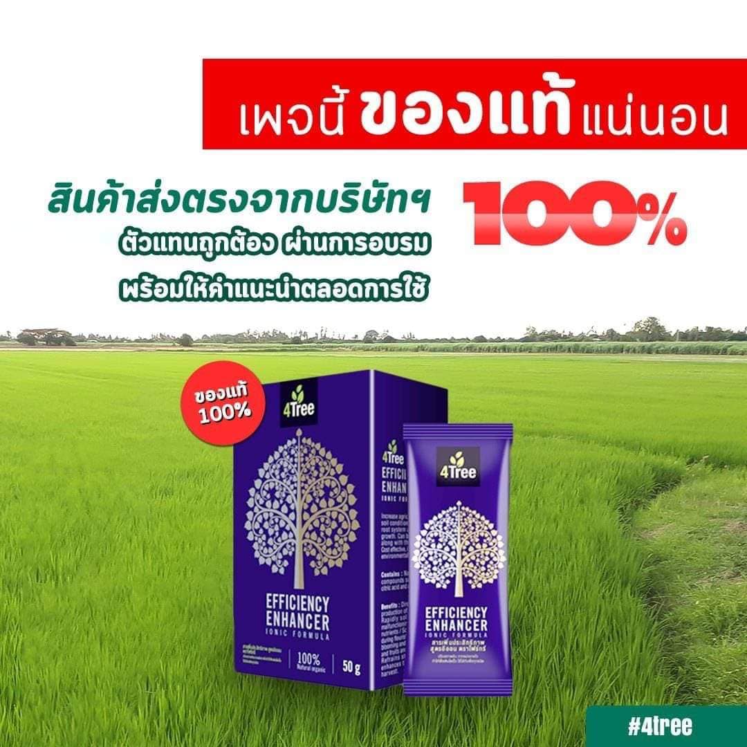 4Tree (โฟร์ทรี) 4 ซอง สารเสริมประสิทธิภาพ สูตรอิออน พืชโตเร็ว แข็งแรง ...