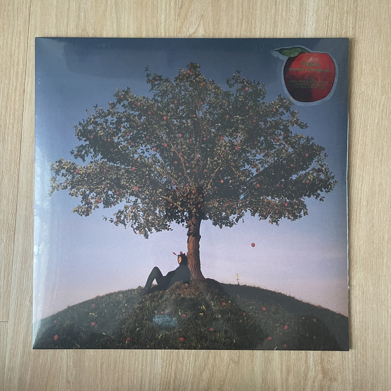 แผ่นเสียง slowthai ‎– TYRON  Vinyl, LP, Album ,france แผ่นเสียงใหม่ ซีล