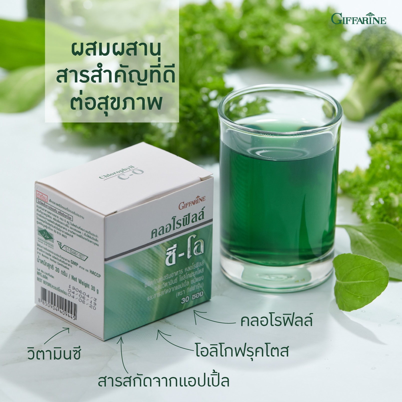 [ส่งฟรี] คลอโรฟิลล์ กิฟฟารีน CHLOROPHYLL CO GIFFARINE คลอโรฟิล 1 กล่อง