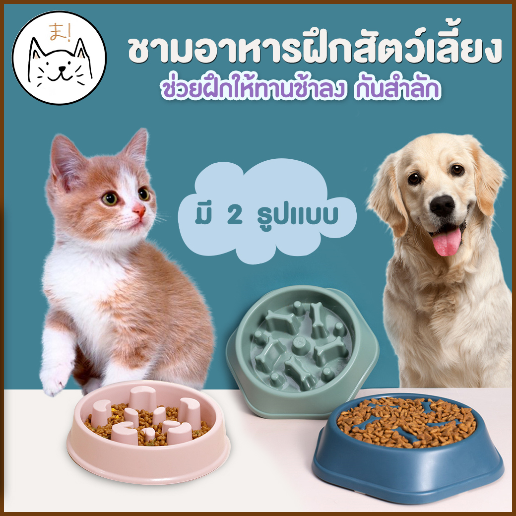 KUMAまชามอาหารสัตว์เลี้ยง ชามช่วยลดการสำลัก ชามลดการกินไว ชามอาหารฝึกให้ทานช้าลง ชามกันมูมมาม สุนัขและแมว