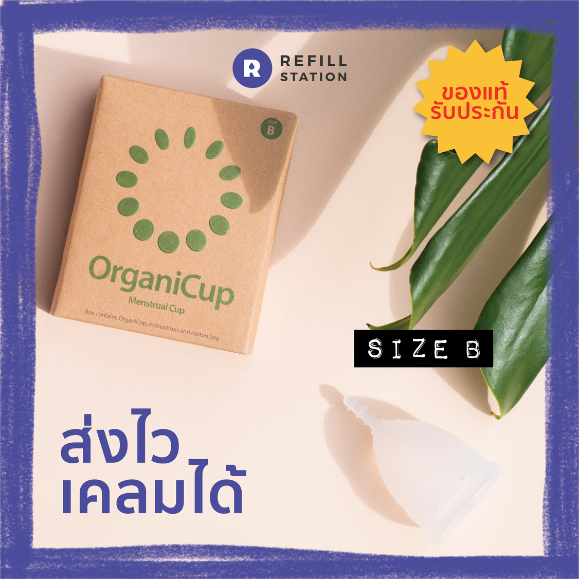 Refill Station - ถ้วยอนามัย Menstrual Cup OrganiCup สำหรับช่วงมีประจำเดือน Size B