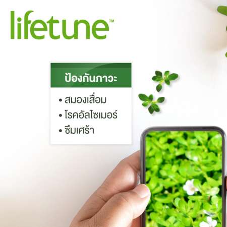 Lifetune™ ไลฟทูน อินเดียน บาโคปา (ผลิตภัณฑ์เสริมอาหาร สารสกัดจากพรมมิ) แพ็ค 2 ขวด