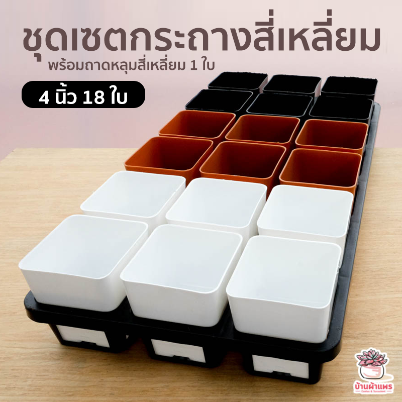 ชุดเซตกระถางสี่เหลี่ยม 4 นิ้ว 18 ใบ พร้อมถาดหลุมสี่เหลี่ยม 1 ใบ