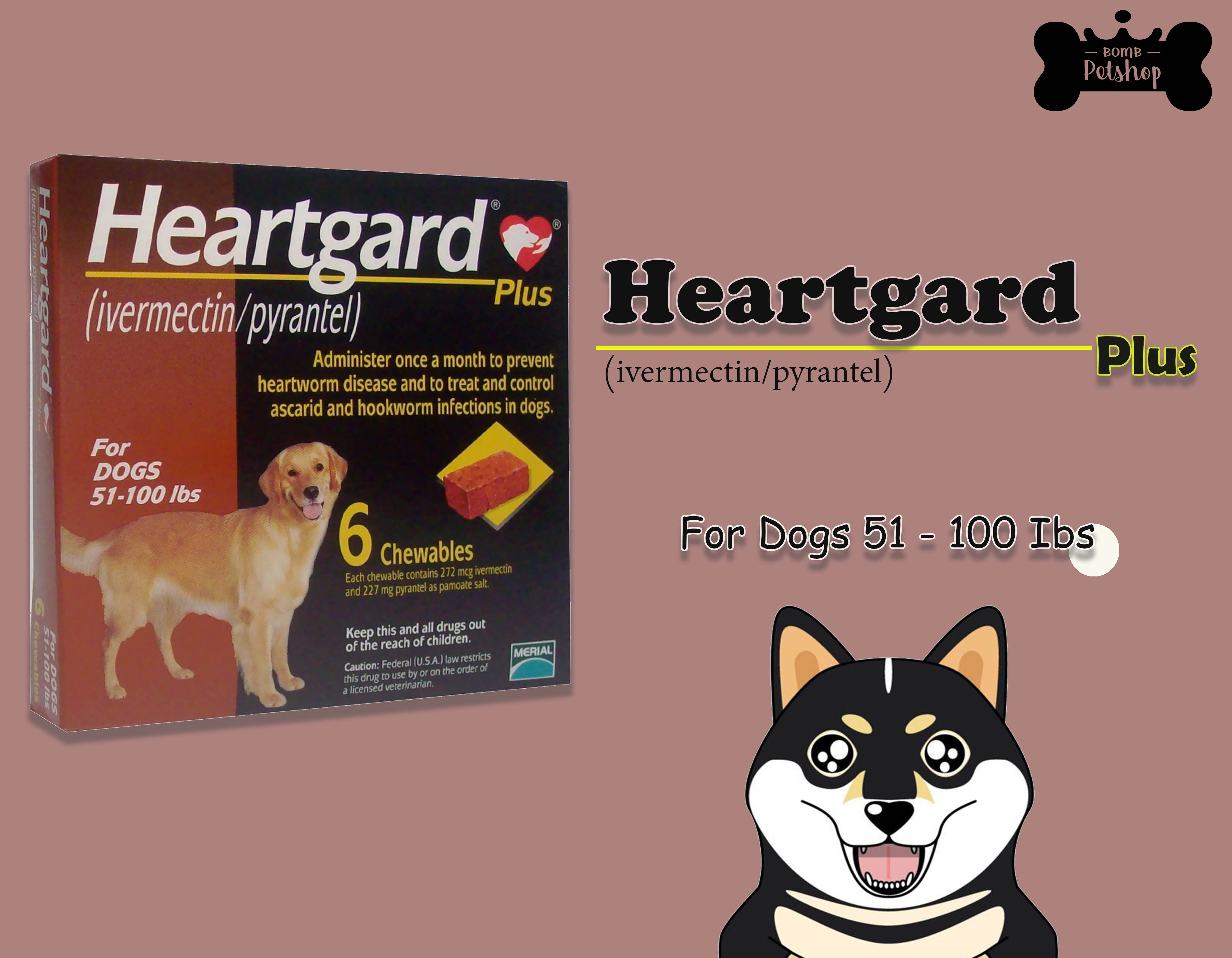 Heartgard Plus Beef Flavoured Dogs Heartworm 51-100 lbs ฮาร์ทการ์ด ป้องกันหนอน  หัวใจ สุนัข 51-100 ปอนด์ (23-45 กิโลกรัม) สีน้ำตาล หมดอายุ 05/2022