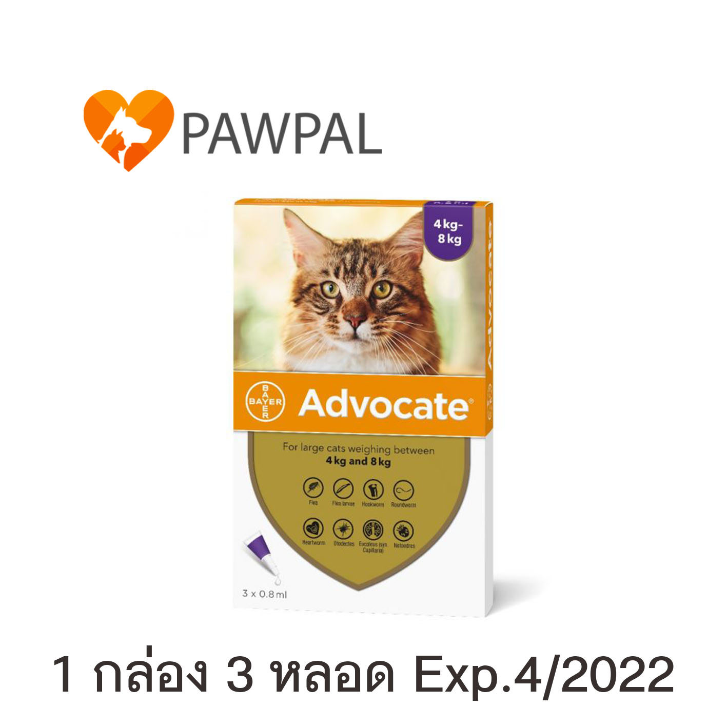 Advocateแอทโวเคท Bayer แมว 4-8 kg Exp.4/2022 หยดหลังคอ หยอดหลัง สีม่วง Spot on Solution cat (1 กล่อง 3 หลอด)