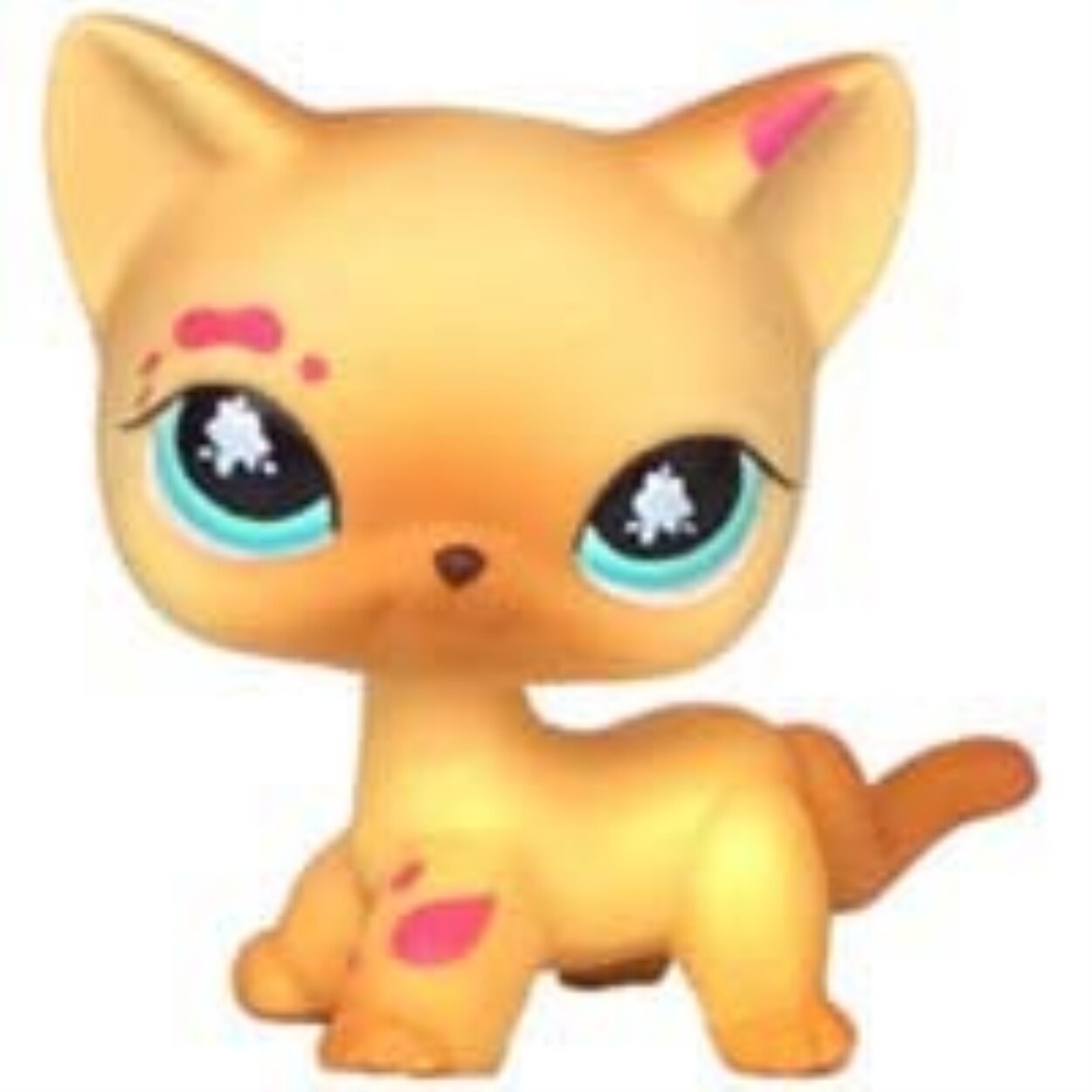 LPS CAT Rare Littlest pet shop Toys Mini Stands Short Hair Kitten Old  Figures Collection Original Bobble head toys