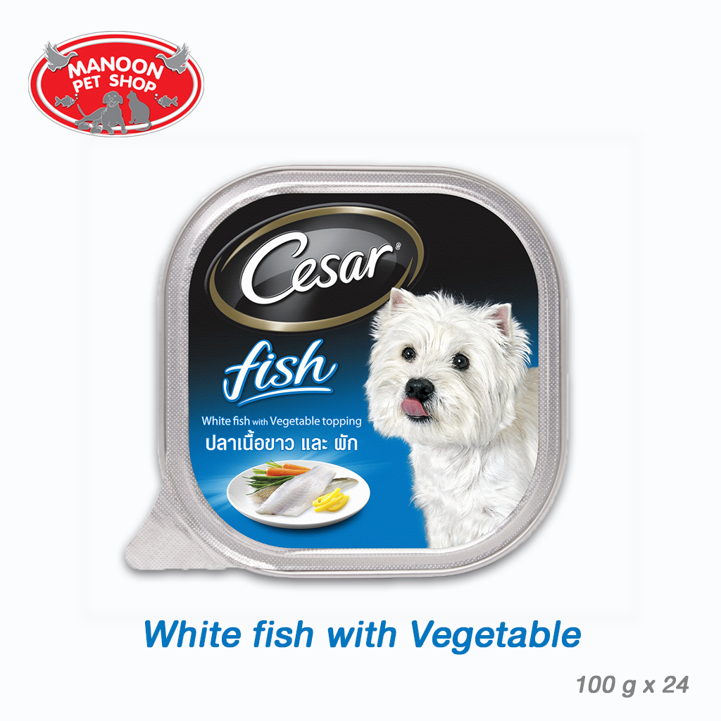 [MANOON] Cesar White Fish&Vegetable 100g (24 Tray) ซีซาร์ ถาด รสปลาเนื้อขาวพร้อมผักโรย 100 กรัม ( 24 ชิ้น)