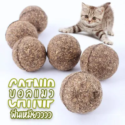 Stylish Home (HC-2) ของเล่นแมว บอลแมว กัญชาบอล Catnip Ball ลูกบอลแคทนิป