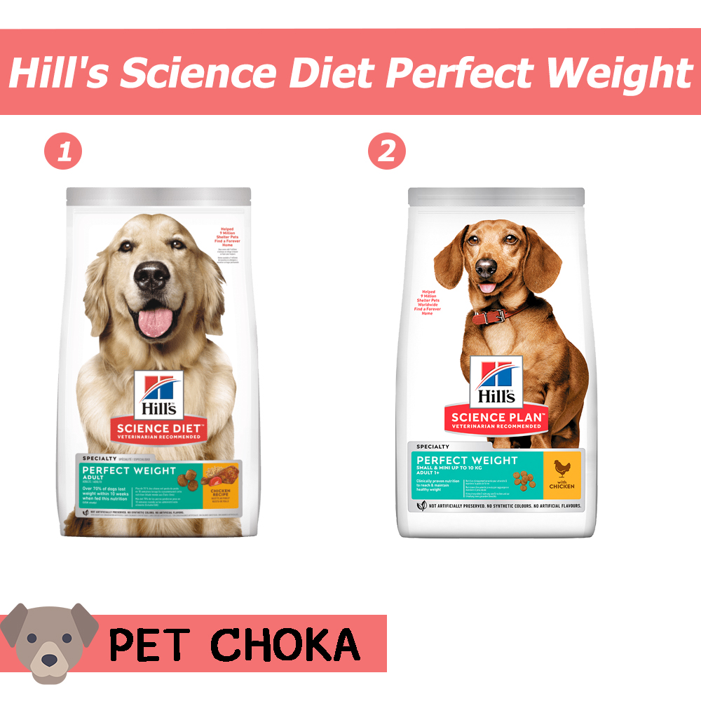 Hill's Science Diet Perfect Weight อาหารสุนัขโต อายุ 16 ปี สูตรลดและควบคุมน้ำหนัก Choka pet