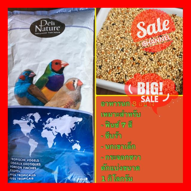 SALE !!ราคาสุดพิเศษ ## อาหารนกฟินซ์ นกเขาเล็ก 8 อย่าง ( ตักแบ่ง 1 kg ) Deli Nature ##สัตว์เลี้ยงและอุปกรณ์สัตว์เลี้ยง