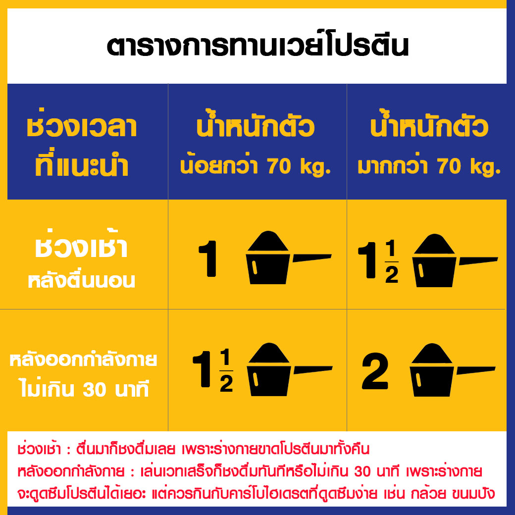 โปรตีนเชค กินทุกวันได้ไหม