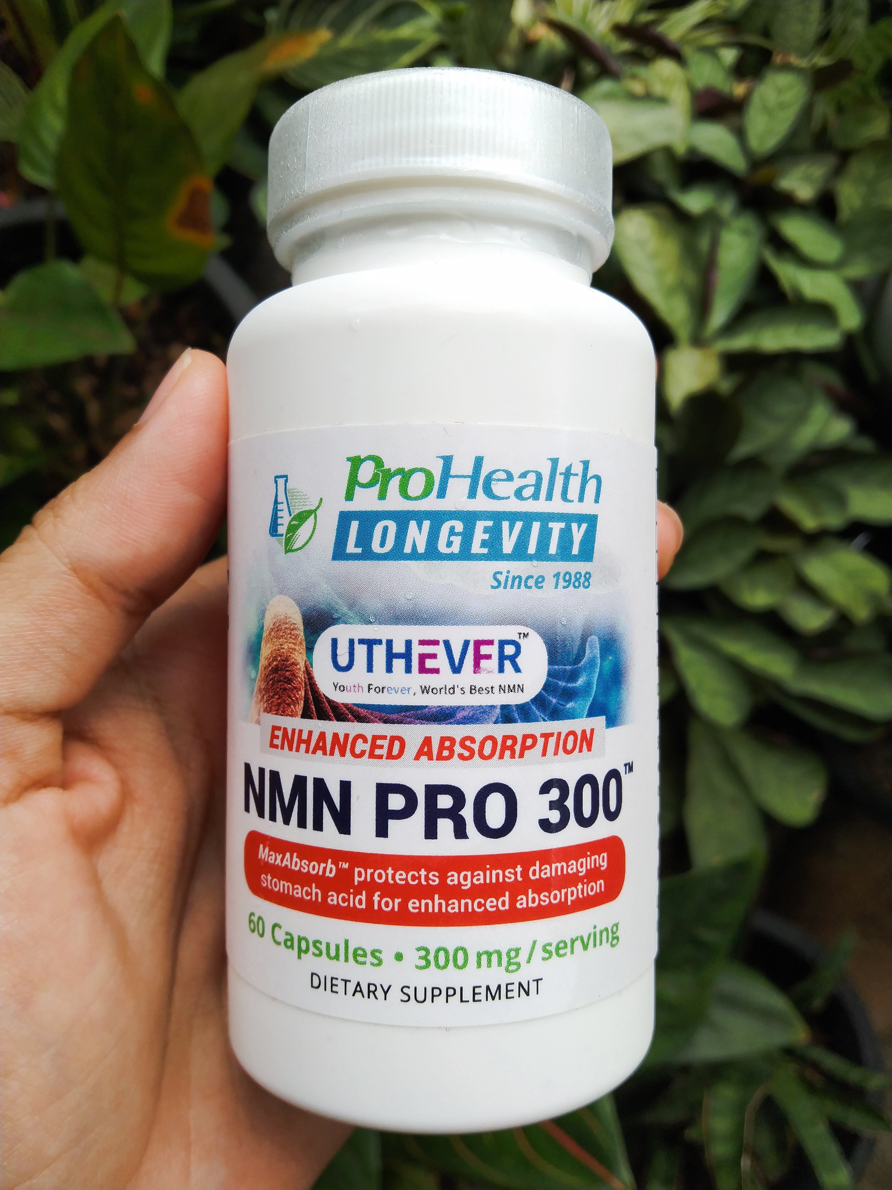 ProHealth NMN Pro 300 / Pro 500, Prohealth Longevity, (300-500 Mg/Serving 60  แคปซูล) อาหารเสริมเพิ่มพลังเซลล์ ชะลอวัย NMN Supplement Nicotinamide  Mononucleotide 100% | Lazada.co.th