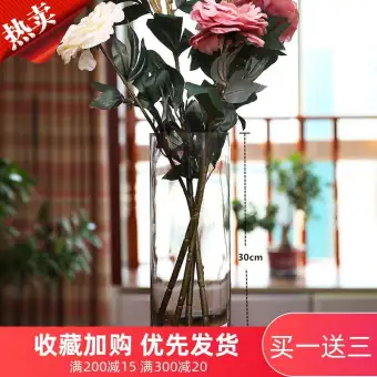 Landing Grow In Water Lily Fgz Big Transparent Glass Vase
