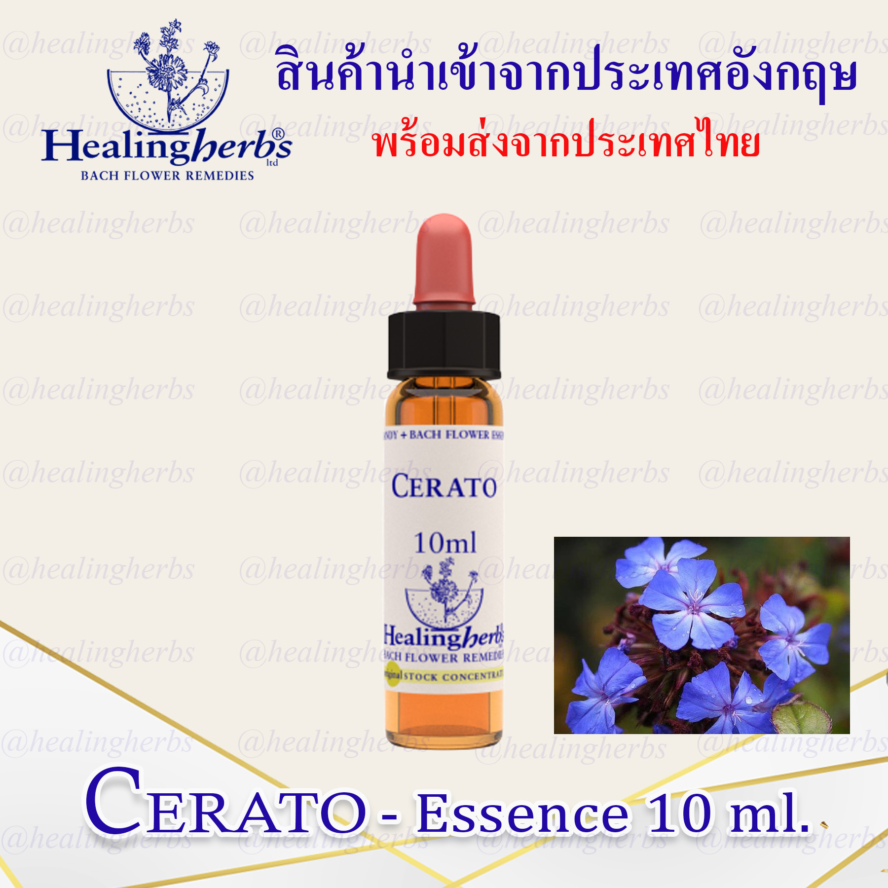 (Cerato) Bach Flower Essence (droppler) ขนาด 10 ml. หรือ 30 ml. ของแท้