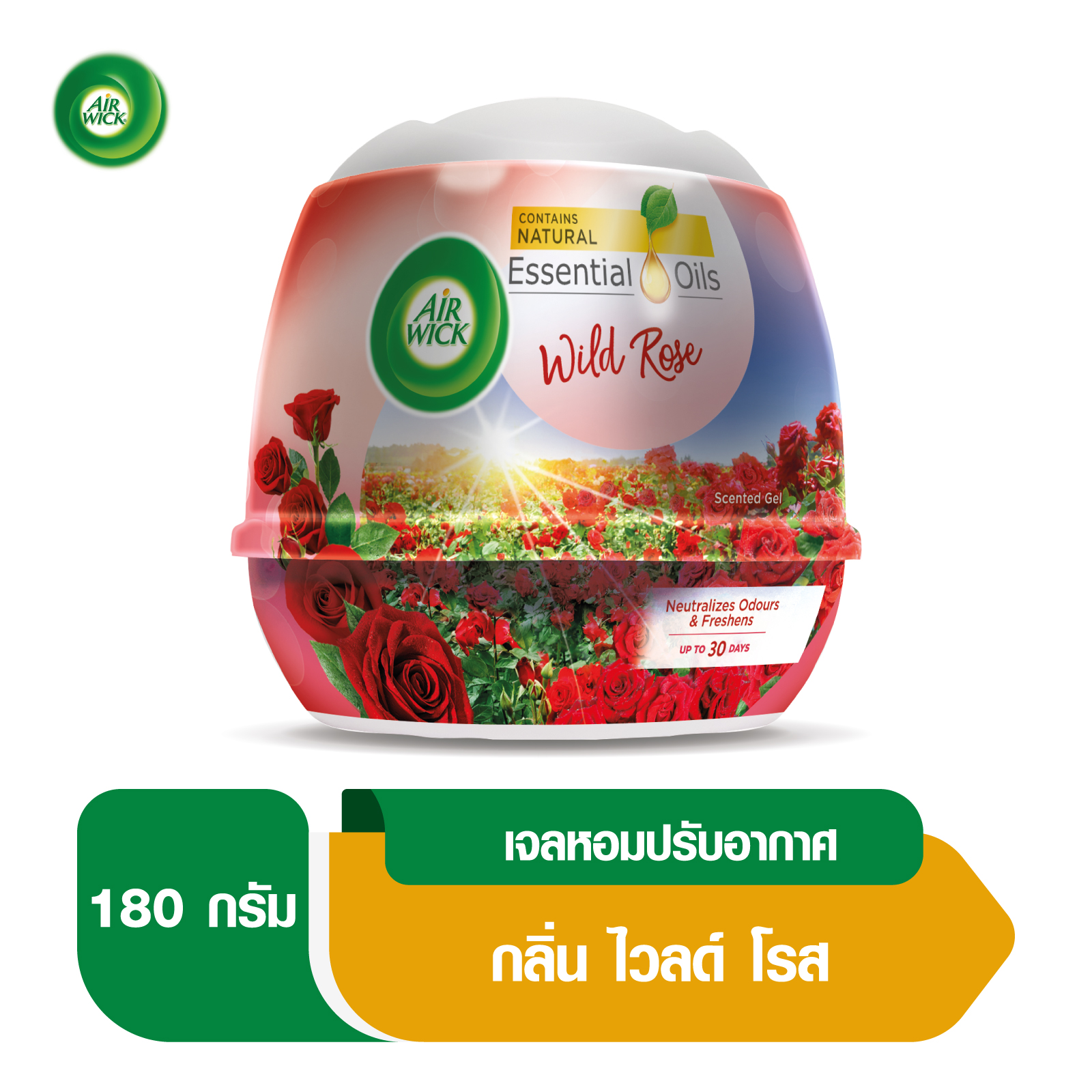 AirWick แอร์วิค เจลหอมระเหย กลิ่นกุหลาบ 180กรัม