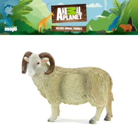 โมเดลสัตว์ลิขสิทธิ์ Animal Planet แท้ - Sheep (Ram)