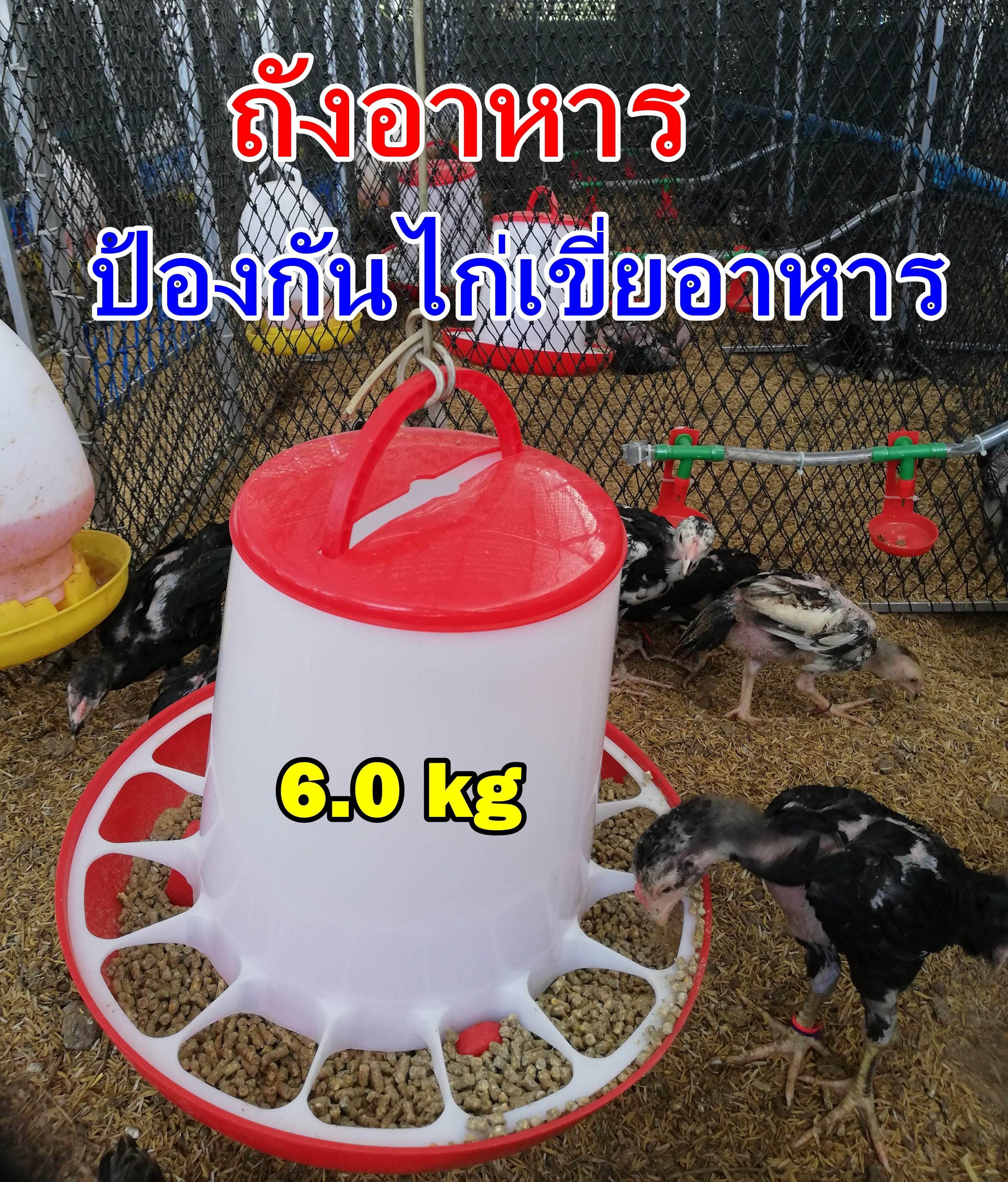 ถังอาหารไก่ ป้องกันไก่เขี่ย ประหยัดอาหาร /ใส่อาหาร 6kg.