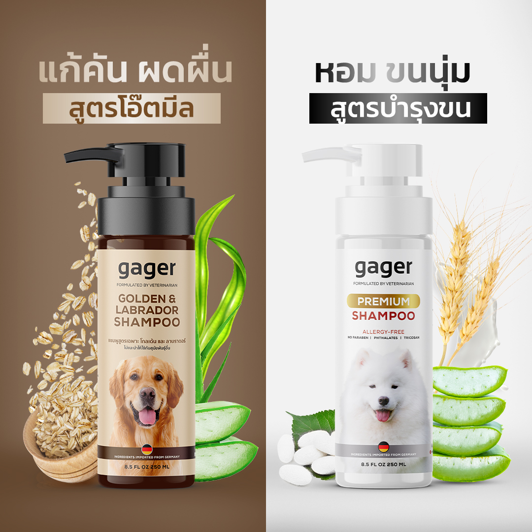 Gager (กาเจอร์) เซ็ตคู่ (250ml.) แชมพูอาบน้ำหมาโกลเด้น / ลาบราดอร์ สูตร