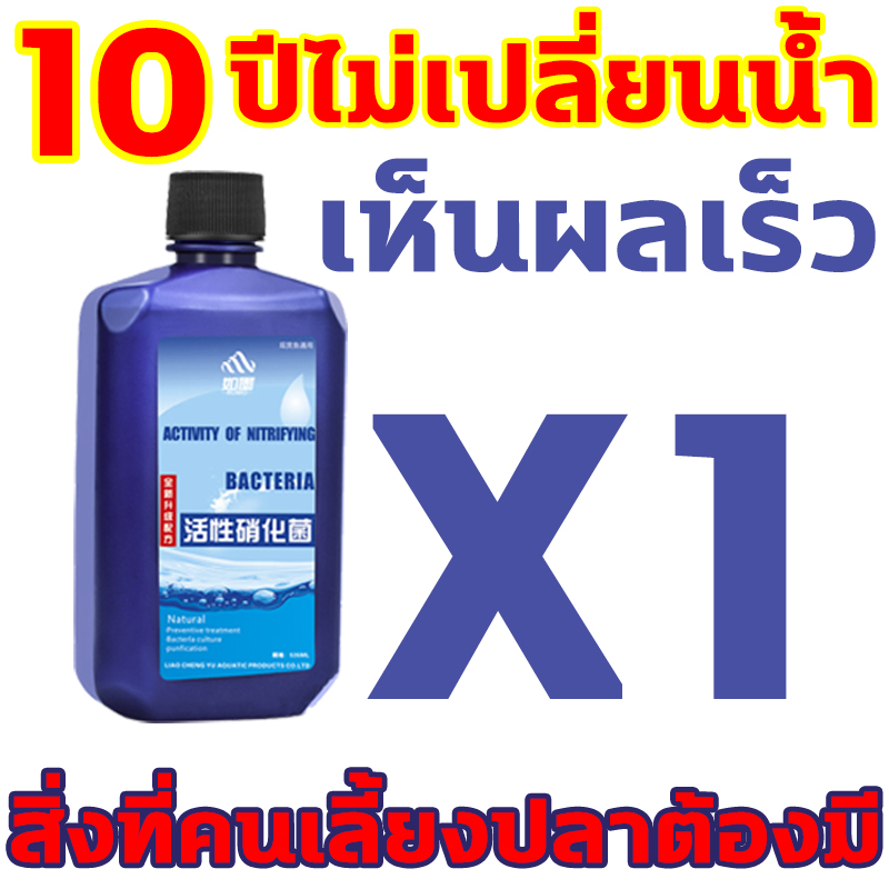My Image 6