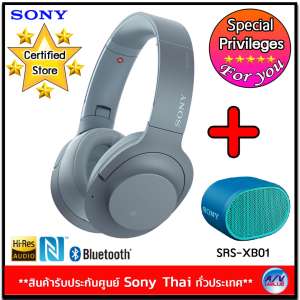 Sony หูฟังป้องกันเสียงรบกวนแบบไร้สาย h.ear on 2 Wireless NC รุ่น WH-H900N/L + Sony SRS-XB01 ลำโพง BLUETOOTH แบบพกพา EXTRA BASS (1 ชิ้น)