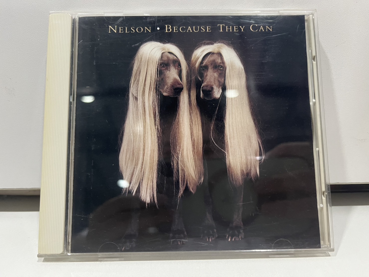 1 CD MUSIC ซีดีเพลง NELSON BECAUSE THEY CAN (M1G126) - musicJ - ThaiPick