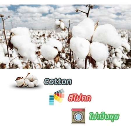 ผ้าปูที่นอน 3.5 ฟุต พร้อม ผ้าห่มนวม ลาย FALLING STAR- {สีไม่ตก ∘ ไม่เป็นขุย } / ผ้าปูที่นอนลายการ์ตูน - ชุดเครื่องนอน