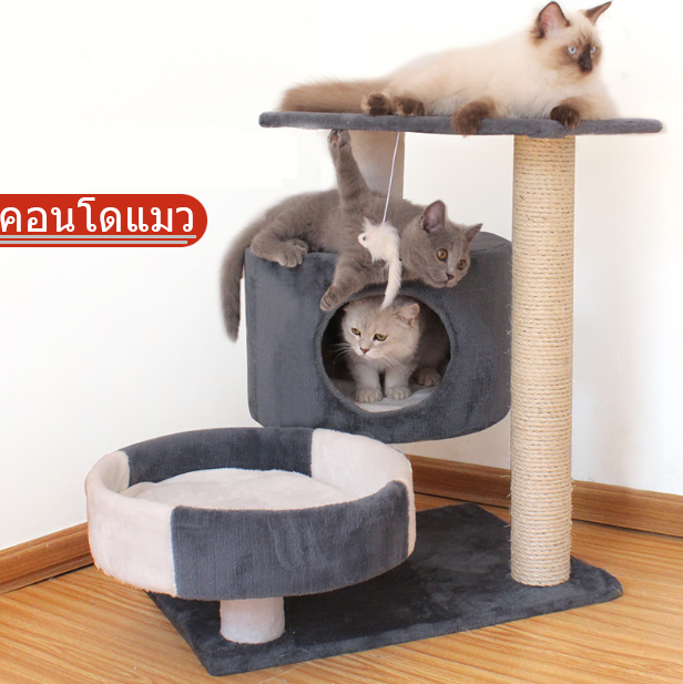 พร้อมส่ง คอนโดแมว 2ชั้น ‼️คอนโดแมว ที่ลับเล็บแมว เตียงแมว ของเล่นแมว คอนโดแมวราคาถูก