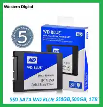 ภาพขนาดย่อของภาพหน้าปกสินค้าWD BLUE SSD 250GB 500GB 1TB SATA3 2.5" WD BLUE SATA (WDS500G2B0A) 3D NAND ประกัน เอสเอสดี for notebook/PC รับประกัน 3 ปี จากร้าน Kasena บน Lazada