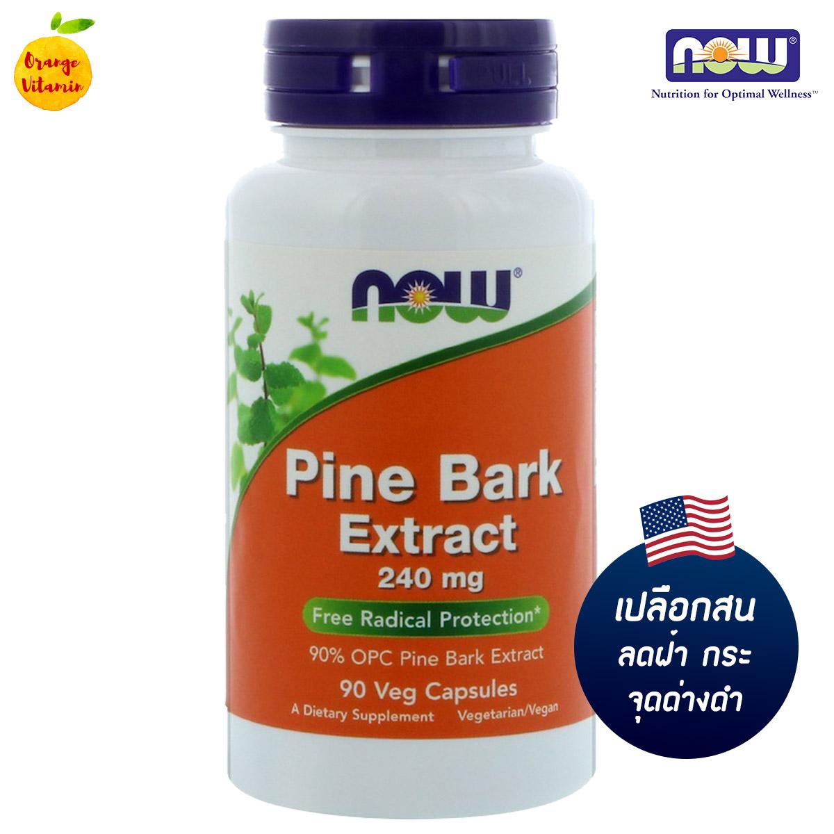 ซื้อที่ไหน สารสกัดจากเปลือกสน Now Foods, Pine Bark Extract, 240 mg, 90