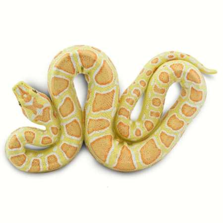 Safari Ltd. : SFR100250 โมเดลสัตว์ Albino Burmese Python
