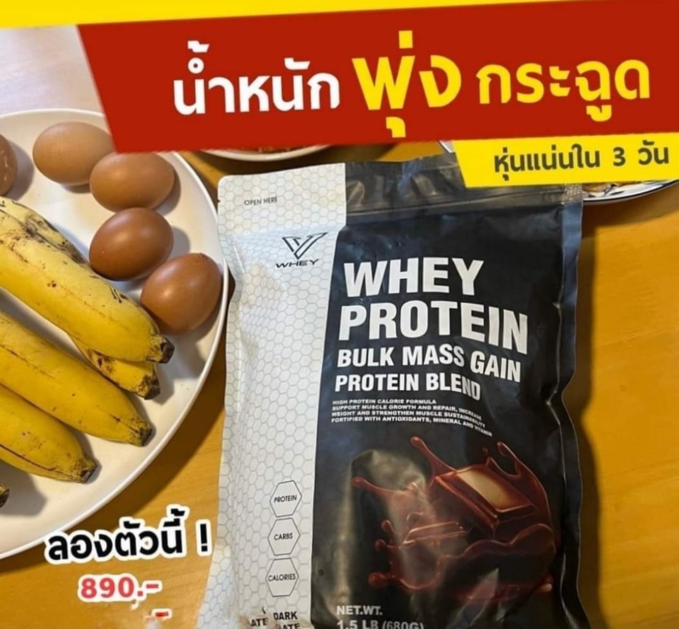 Whey Protein bulk mass gain protein blend Lazada.co.th