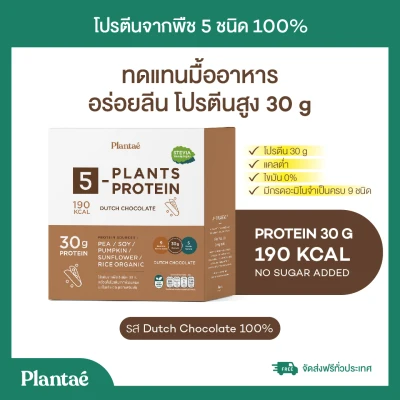 Plantae : 1 กล่อง โปรตีนพืช 5 ชนิด รสดัชท์ช็อกโกแลต 100% ทดแทนมื้ออาหาร สร้างกล้ามเนื้อ ไม่มีไขมัน