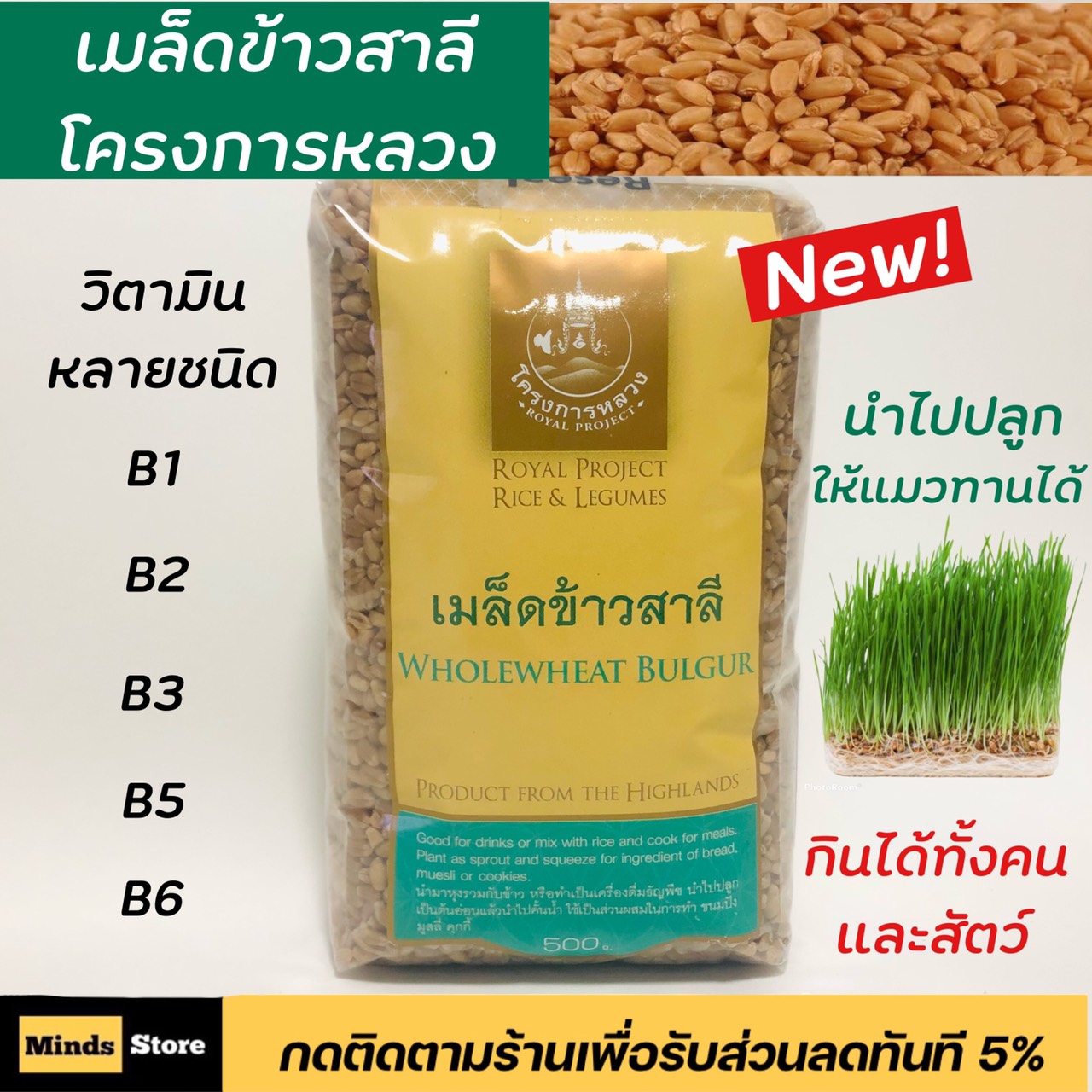 เมล็ดข้าวสาลี ข้าวสาลี โครงการหลวง นำไปปลูกต่อได้ ขนาด 500 กรัม นำไปประกอบอาหารได้ทั้งของคนและสัตว์(น้องแมวทาน)