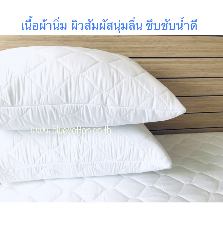 ปลอกรองกันเปื้อน กันเปื้อนหมอน มีซิป Pillow Protector Blue Sleep