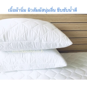 ภาพหน้าปกสินค้าปลอกรองกันเปื้อน กันเปื้อนหมอน มีซิป Pillow Protector Blue Sleep ที่เกี่ยวข้อง