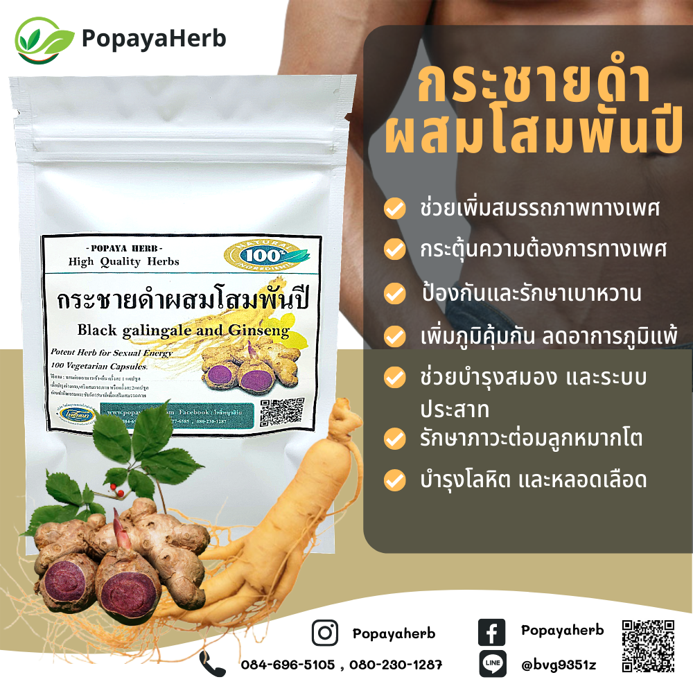 กระชายดำผสมโสมแคปซูล กระชายดำ(Black Galingale)50% โสม(Ginseng)50%