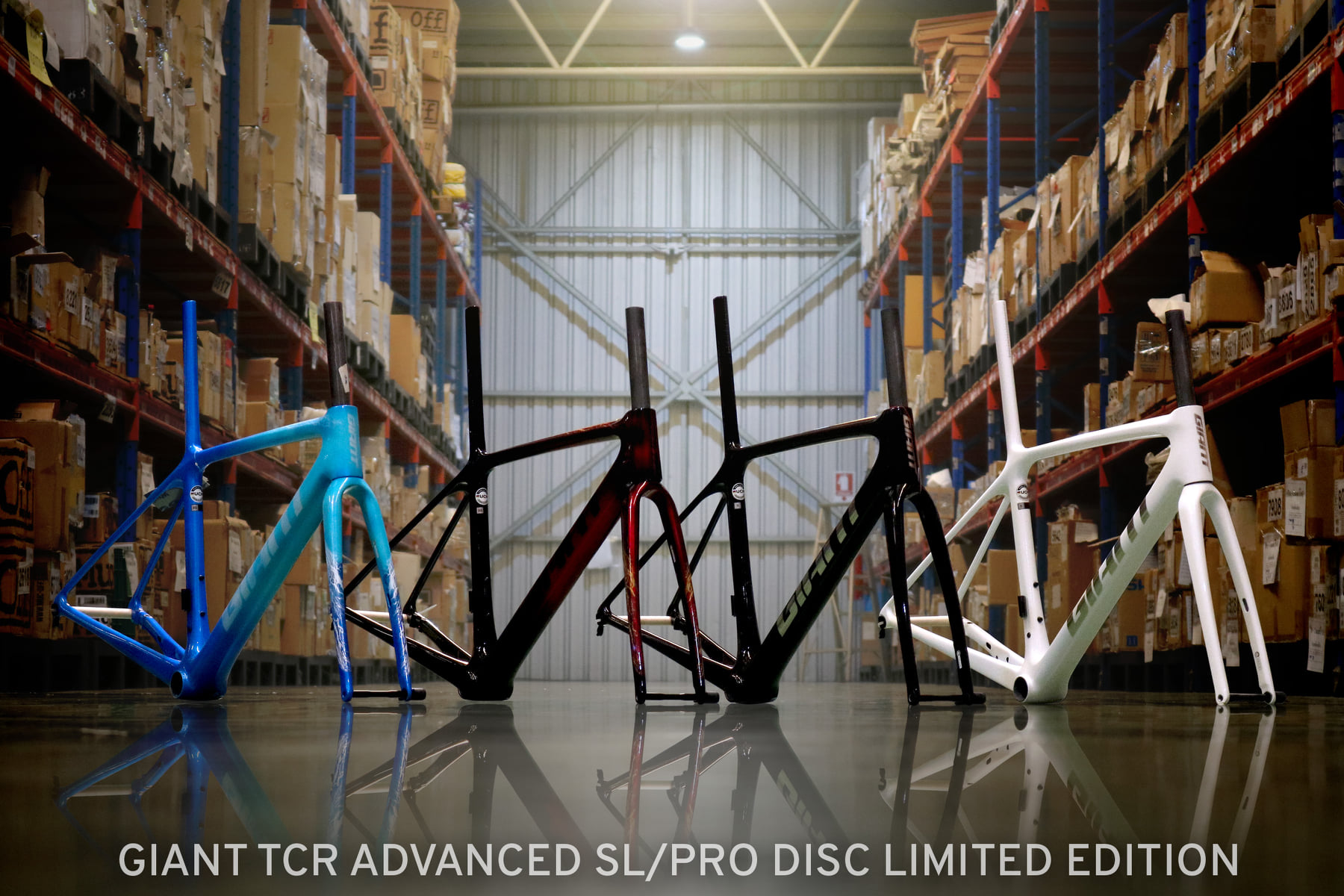 เฟรม GIANT TCR ADVANCED SL / PRO LIMITED EDITION เฟรมเซ็ต