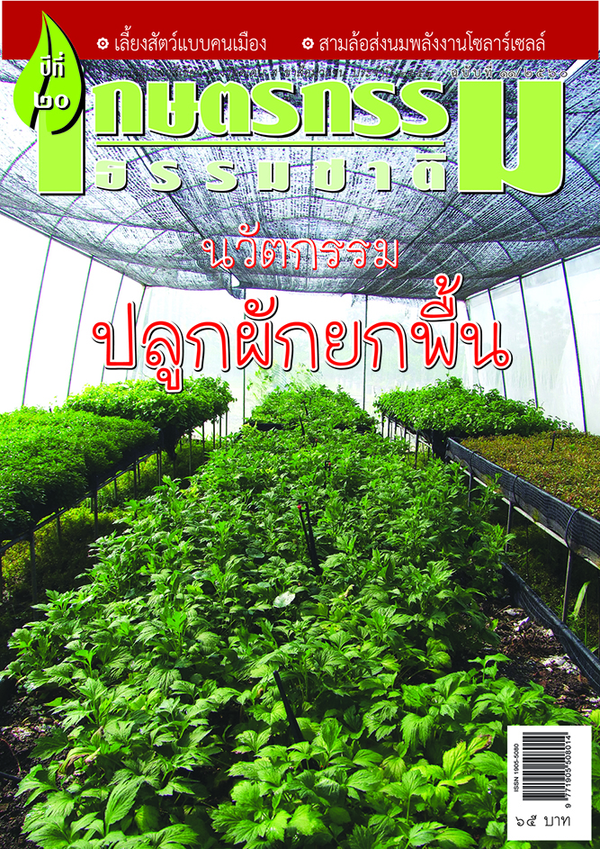 วารสารเกษตรกรรมธรรมชาติ ฉบับที่ 11/2560 นวัตกรรมปลูกผักยกพื้น
