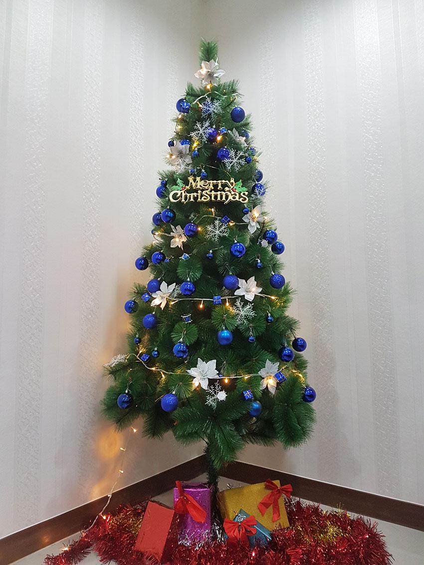 X-Mas ต้นคริสมาสต์สีเขียวฐานเหล็กก้านสนฟูหนา พร้อมของตกแต่งธีมลูกบอล ขนาด2.1เมตร/7ฟุต ต้นคริสมาสปลอมชนิดพุ่มหนา ต้นคริสต์มาสขนาดกลาง 7' / 2.1M Medium-sized Christmas Tree