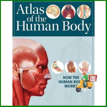 Clicket ! ATLAS OF THE HUMAN BODY: HOW THE HUMAN BODY WORKS