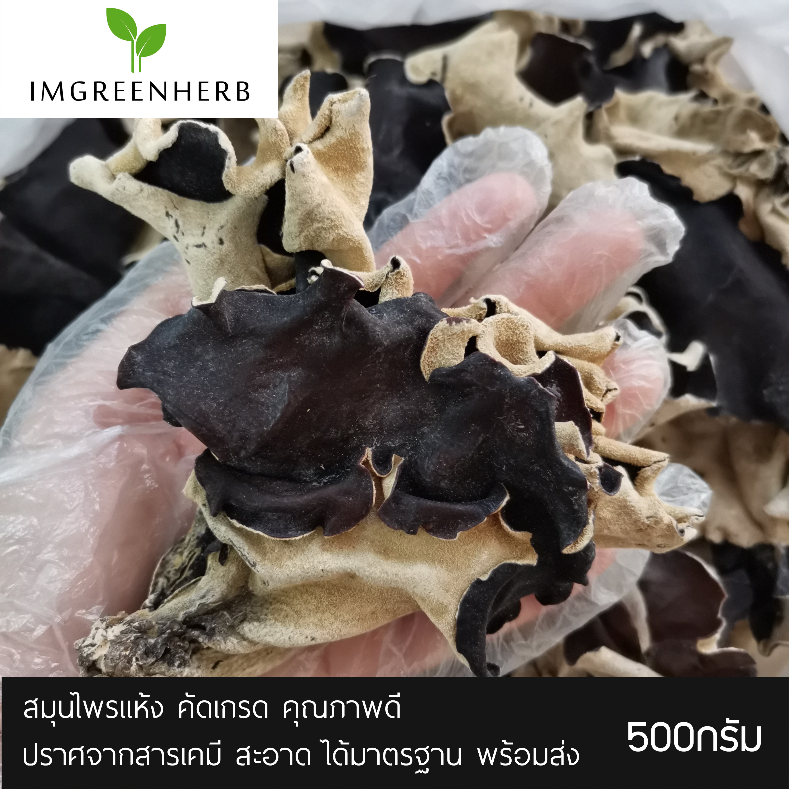 เห็ดหนูหนู เห็ดหูหนูดำหลังขาว เห็ดหูช้าง 500กรัม Wood Ear Mushroom