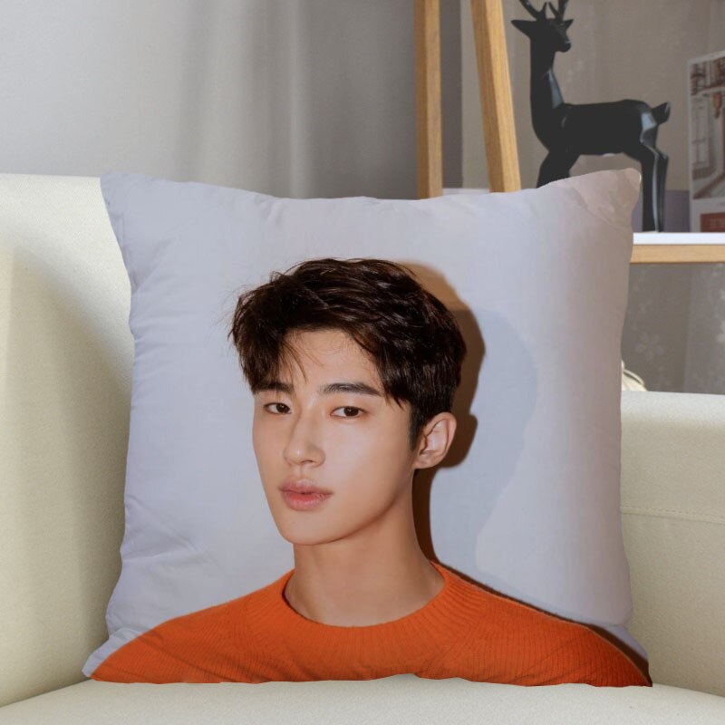 Byeon Woo Seok Cushion Pillow Tent,Office,Home Cotton Linen Zippered  Pillowcase Family Home Accessories Customizable One Side - AliExpress