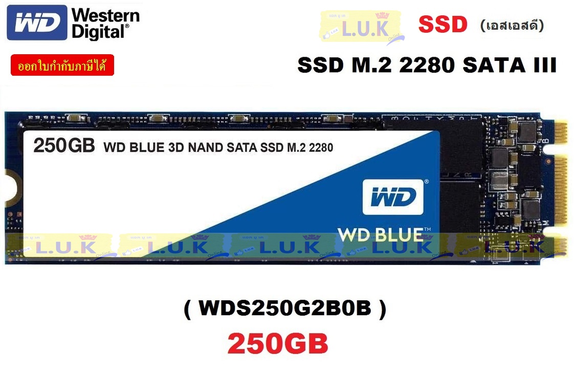 250GB SSD (เอสเอสดี) WD BLUE (WDS250G2B0B) 550MB/525MB 3D NAND M.2 2280 - ประกัน 5 ปี (BY SYNNEX)