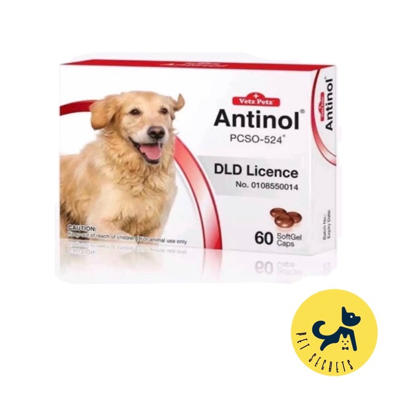 Antinol for Dog 60 แคปซูล (อาหารเสริมแอนทินอลสำหรับสุนัข)