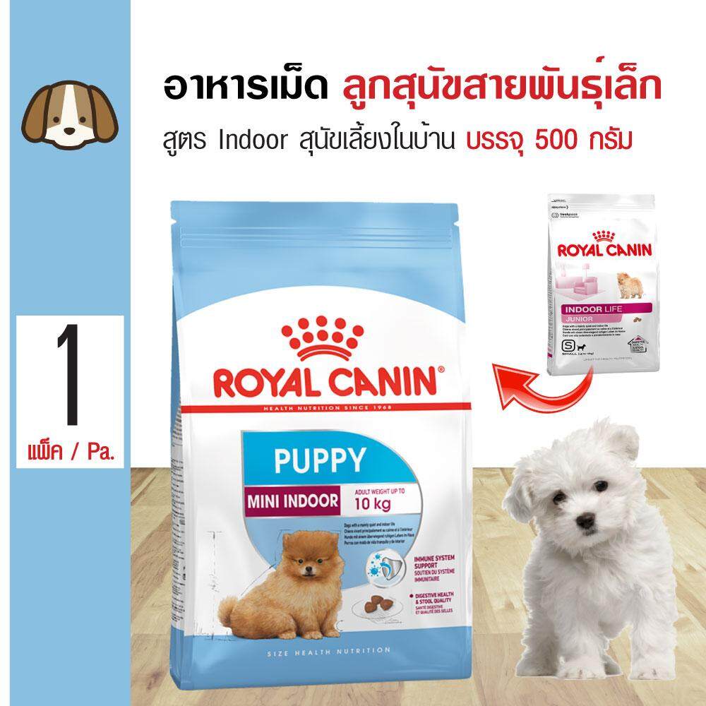 Royal Canin Mini Indoor Puppy 500 g. อาหารสุนัข สูตรสุนัขเลี้ยงในบ้าน สำหรับลูกสุนัขพันธุ์เล็ก (500 กรัม/ถุง)