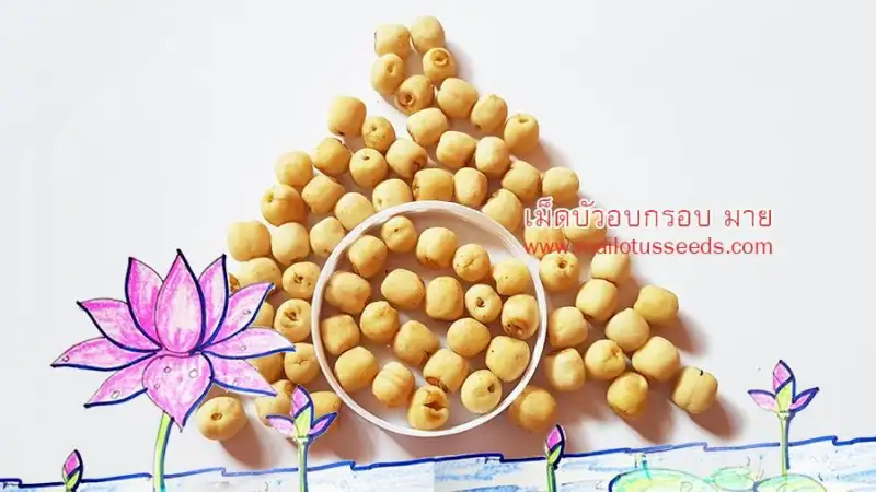 ภาพหน้าปกสินค้าRoasted Lotus seeds จากร้าน Nattawut Great Shop บน Lazada